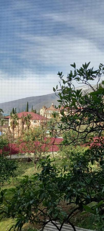 У Людмилы Gagra Esterno foto